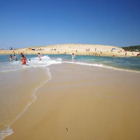 Les Oliviers, Piscine Chauffee Xxl, Jardin De 2500m2, Ping Pong, Proche Et * Léon