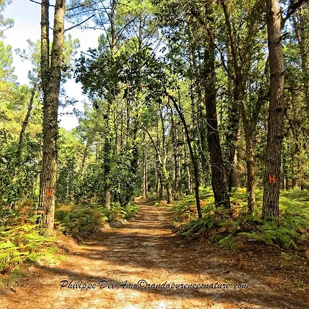 Les Oliviers, Piscine Chauffee Xxl, Jardin De 2500m2, Ping Pong, Proche Et Villa Léon