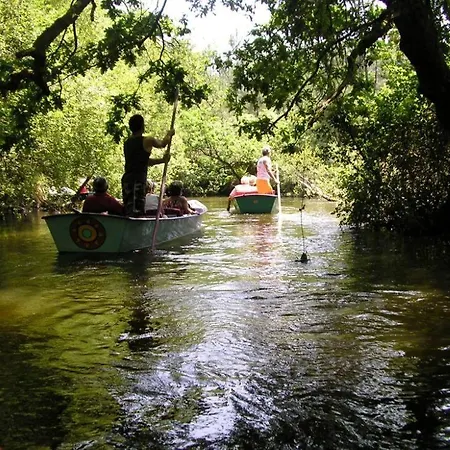 Villa Les Oliviers, Piscine Chauffee Xxl, Jardin De 2500m2, Ping Pong, Proche Et