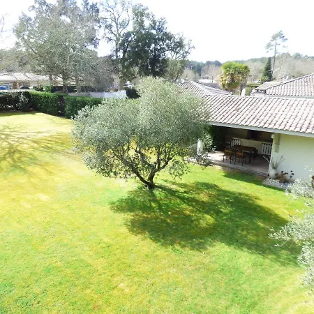 Les Oliviers, Piscine Xxl, Sauna, Jardin De 2500m2, Ping Pong, Proche Et Vila