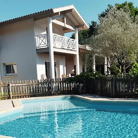 Les Oliviers, Piscine Chauffee Xxl, Jardin De 2500m2, Ping Pong, Proche Et *