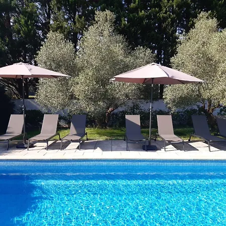 Les Oliviers, Piscine Xxl, Sauna, Jardin De 2500m2, Ping Pong, Proche Et Léon