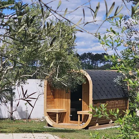 Les Oliviers, Piscine Xxl, Sauna, Jardin De 2500m2, Ping Pong, Proche Et