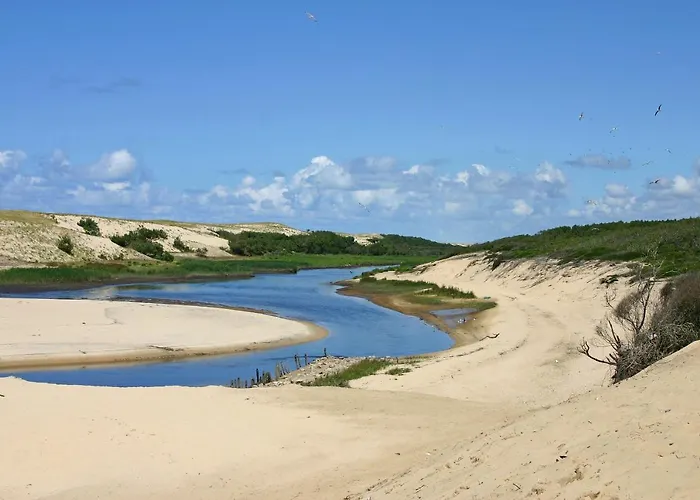 Villa Les Oliviers, Piscine Chauffee Xxl, Jardin De 2500m2, Ping Pong, Proche Et