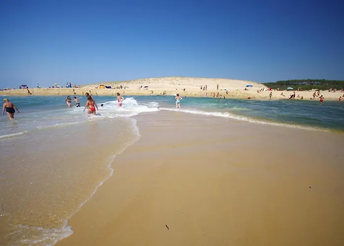 Les Oliviers, Piscine Chauffee Xxl, Jardin De 2500m2, Ping Pong, Proche Et * Léon