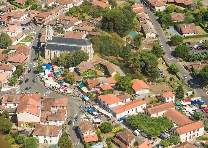 Les Oliviers, Piscine Chauffee Xxl, Jardin De 2500m2, Ping Pong, Proche Et *