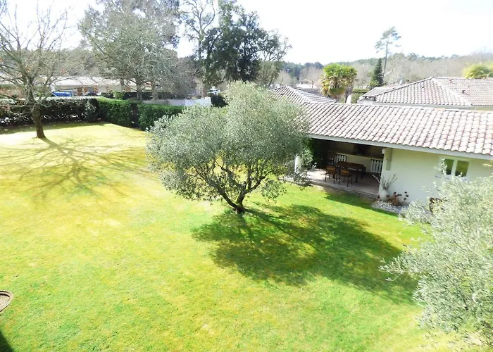 Les Oliviers, Piscine Chauffee Xxl, Jardin De 2500m2, Ping Pong, Proche Et Villa